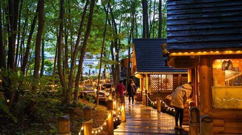 寧靜場所|【北海道富良野景點】森林精靈露台一日遊：夏天白天。